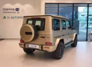 Mercedes-Benz G-Class 2022 г. (золото)