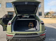 Lamborghini Urus 4.0 V8 Performante 2024 года с пробегом 3927 км
